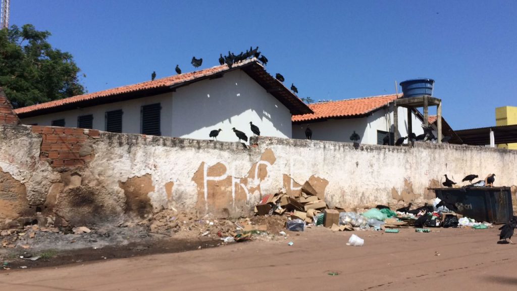 Urubus e lixo na escola J.Câmara, próximo da Avenida Panaquatira